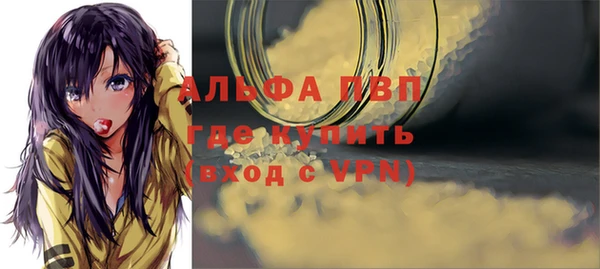 стаф Вязники