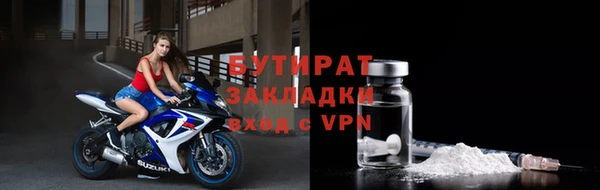 прущие грибы Вяземский