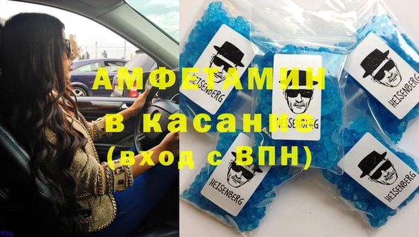 прущие грибы Вяземский