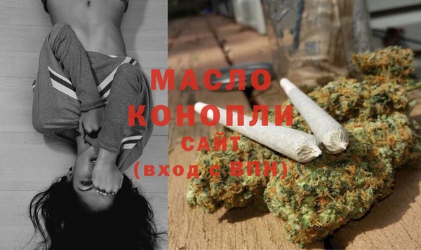 прущие грибы Вяземский