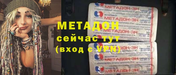 прущие грибы Вяземский