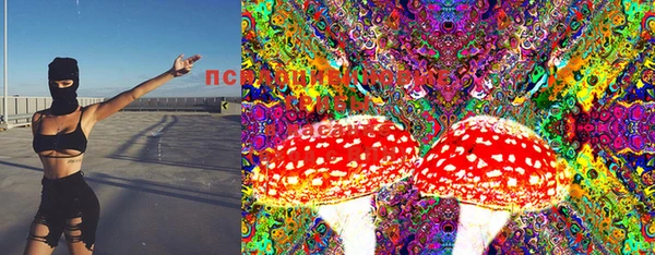 прущие грибы Вяземский
