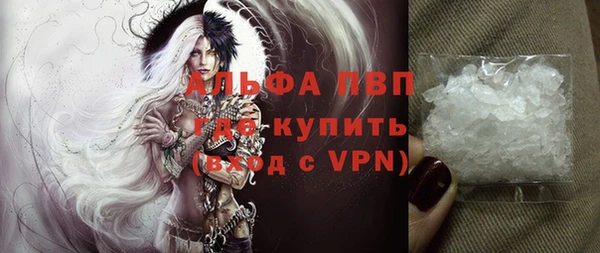 прущие грибы Вяземский