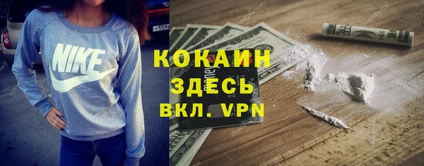 стаф Вязники