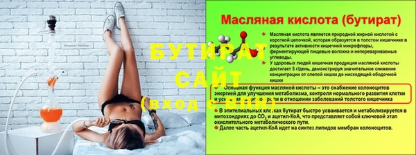 прущие грибы Вяземский