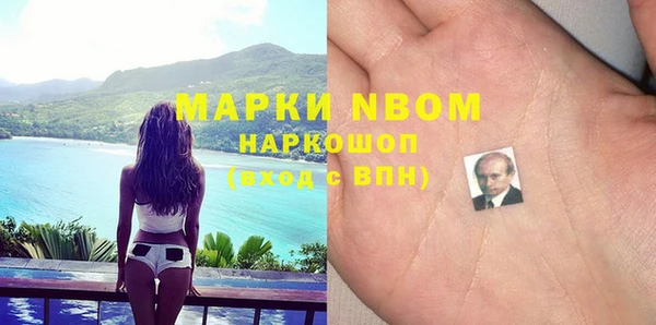 прущие грибы Вяземский