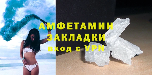 прущие грибы Вяземский