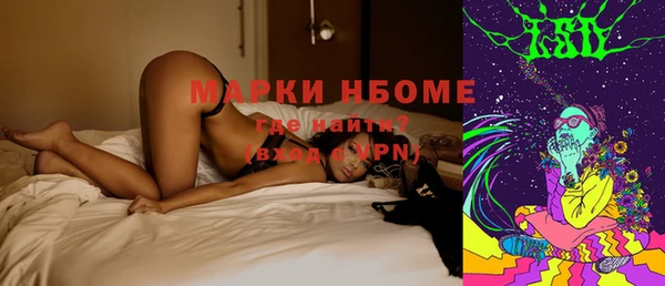 стаф Вязники